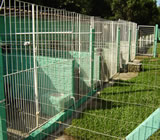 Canis em Volta Redonda