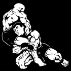 Jiu Jitsu em Volta Redonda