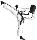 Karatê em Volta Redonda