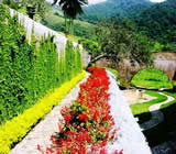 Paisagismo em Volta Redonda